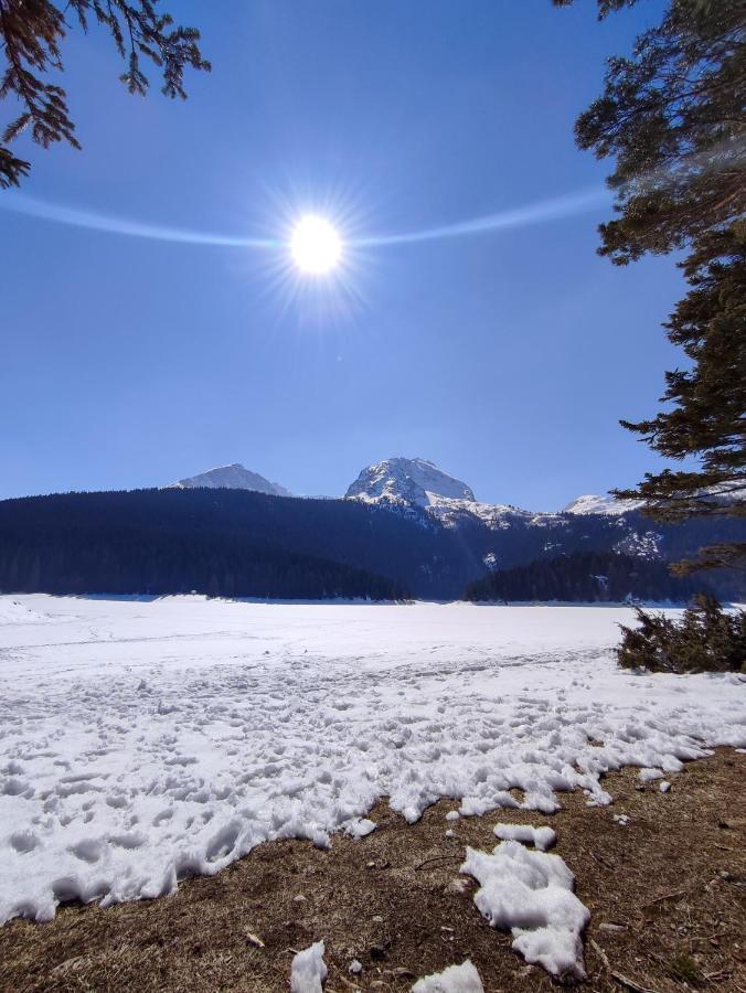 Monte Pino Lux Apartments Žabljak Exteriér fotografie